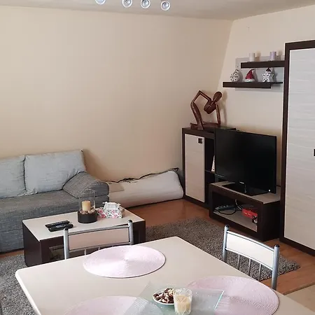 Apartment Cozy Ski *