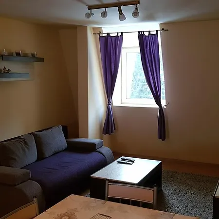 Cozy Ski Apartment